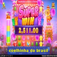 coelhinha do brasil