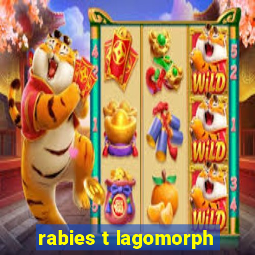 rabies t lagomorph
