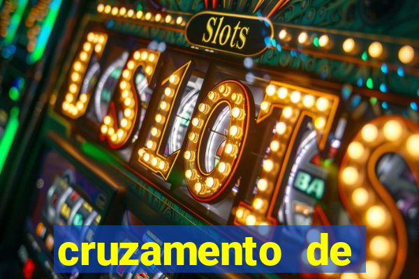 cruzamento de cavalo com mula