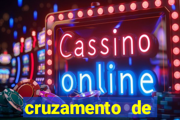 cruzamento de cavalo com mula