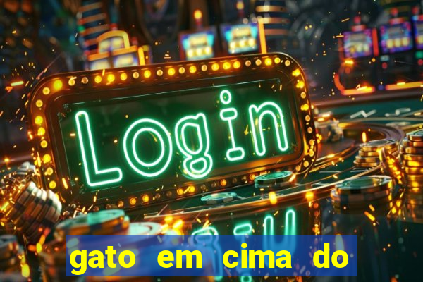 gato em cima do telhado significado espiritual