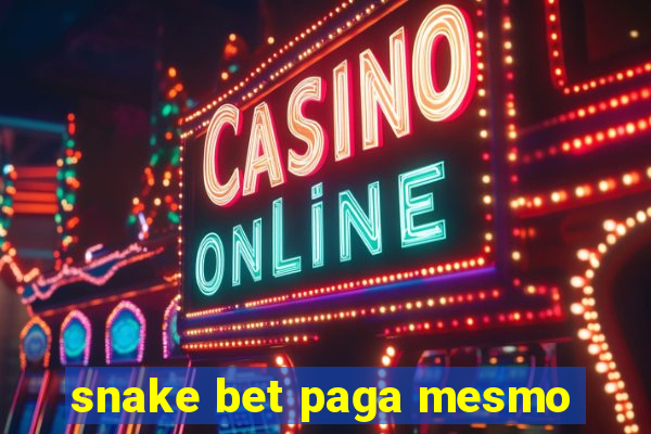 snake bet paga mesmo
