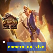 camera ao vivo beto carrero