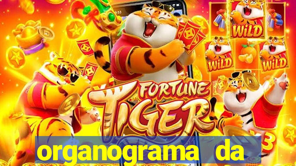 organograma da cacau show