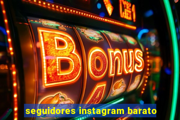 seguidores instagram barato