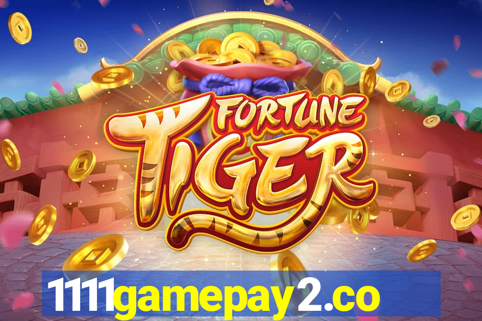 1111gamepay2.com