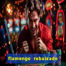 flamengo rebaixado em 1995