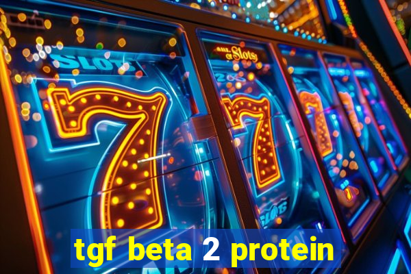 tgf beta 2 protein