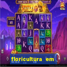 floricultura em porto alegre