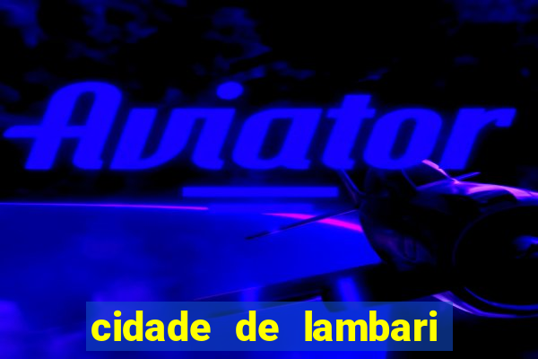 cidade de lambari sao paulo