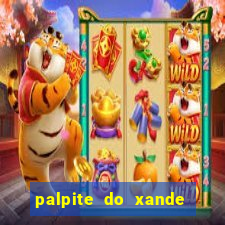 palpite do xande de hoje