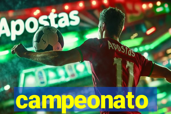 campeonato brasileiro standings