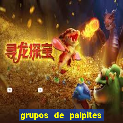 grupos de palpites de futebol whatsapp