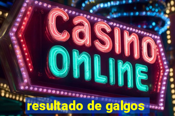 resultado de galgos