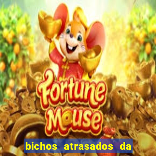 bichos atrasados da loteria federal