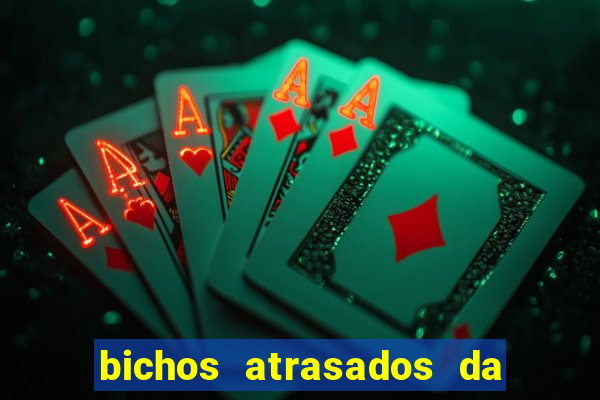 bichos atrasados da loteria federal