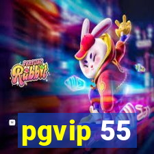 pgvip 55