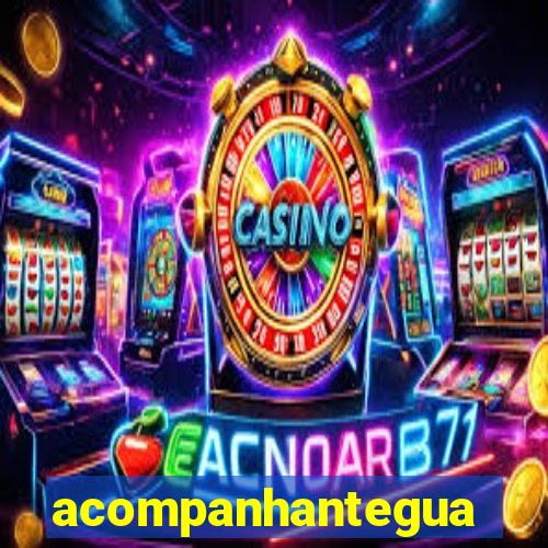 acompanhanteguanambi