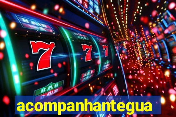acompanhanteguanambi