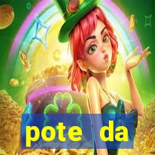 pote da prosperidade riqueza e fortuna 2024