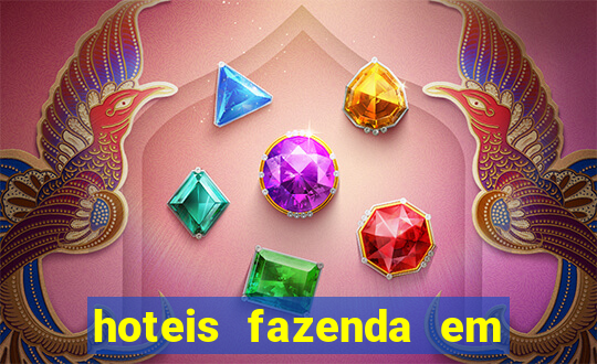 hoteis fazenda em porto velho