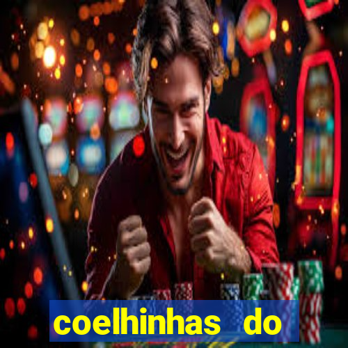 coelhinhas do brasil acompanhantes