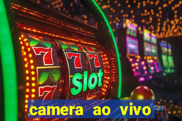 camera ao vivo terminal vila nova cachoeirinha