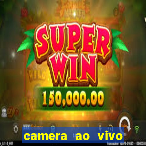 camera ao vivo terminal vila nova cachoeirinha
