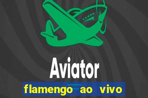 flamengo ao vivo hd play
