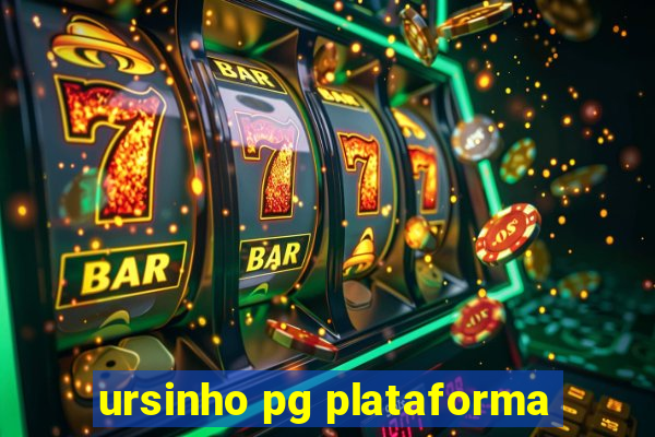 ursinho pg plataforma