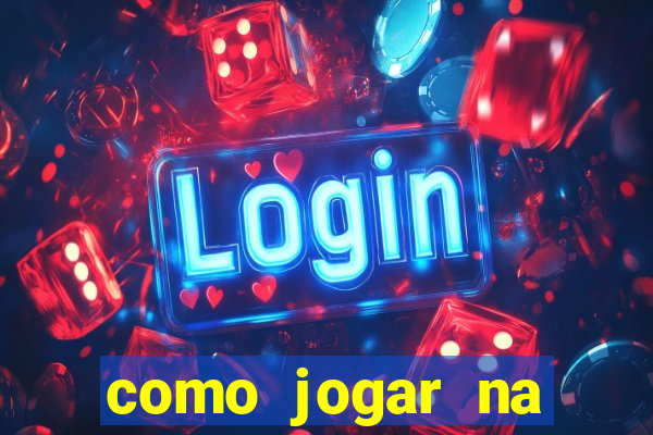 como jogar na lotinha do jogo do bicho
