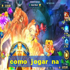como jogar na lotinha do jogo do bicho