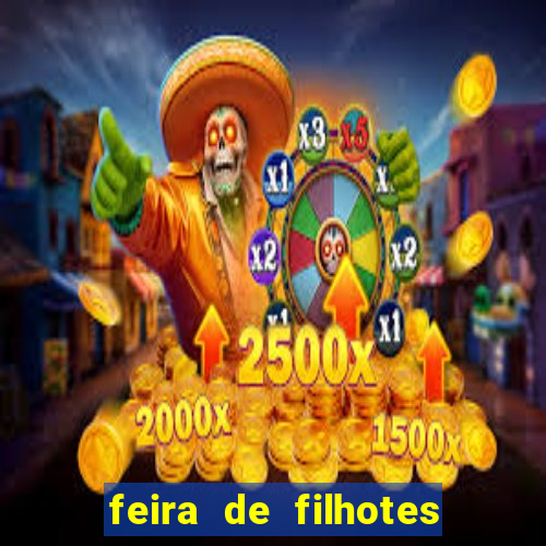 feira de filhotes porto alegre
