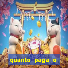 quanto paga o jungle fight