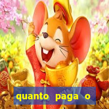 quanto paga o jungle fight