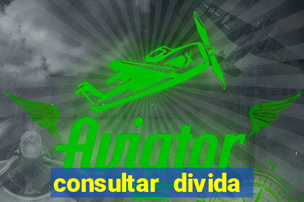 consultar divida casas bahia