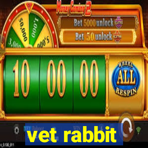 vet rabbit
