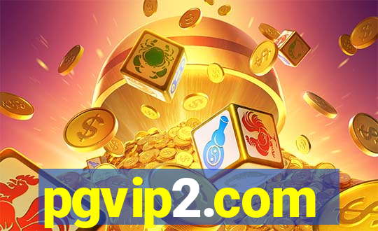 pgvip2.com