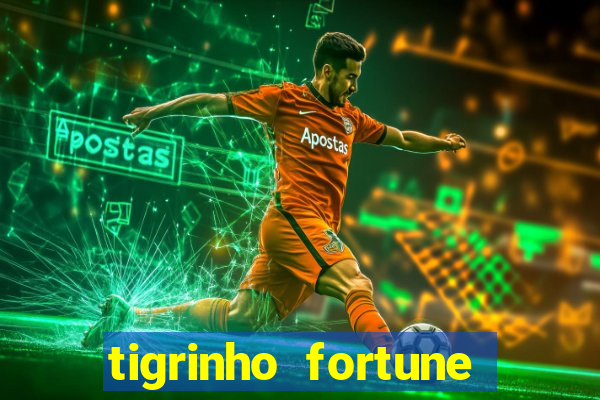 tigrinho fortune dinheiro infinito