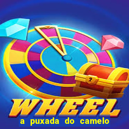 a puxada do camelo no jogo do bicho