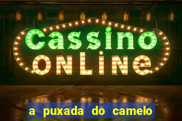 a puxada do camelo no jogo do bicho