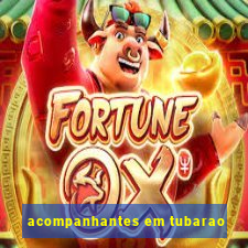 acompanhantes em tubarao