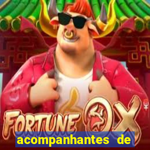 acompanhantes de porto velho