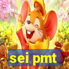 sei pmt