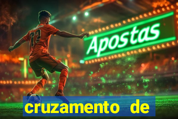 cruzamento de cavalo com jumenta globo rural
