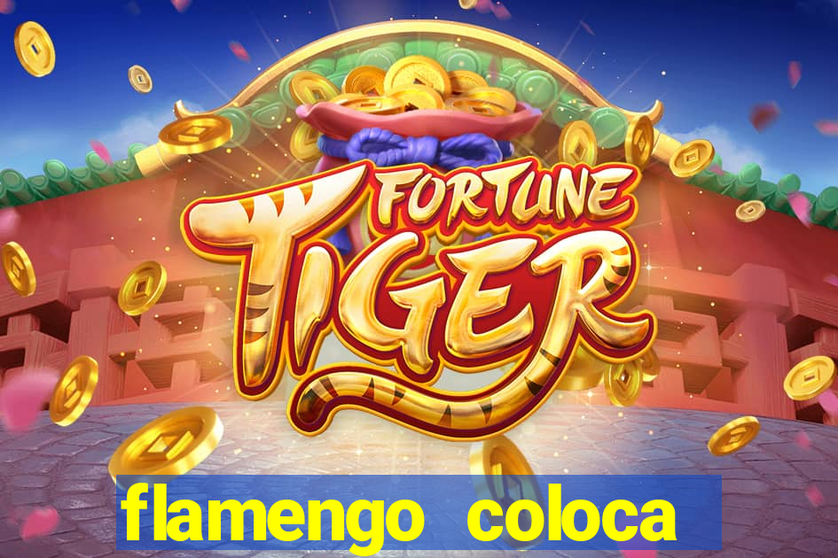 flamengo coloca ingresso a 5 reais
