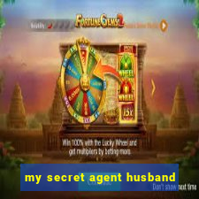 my secret agent husband