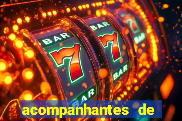 acompanhantes de luxo sc