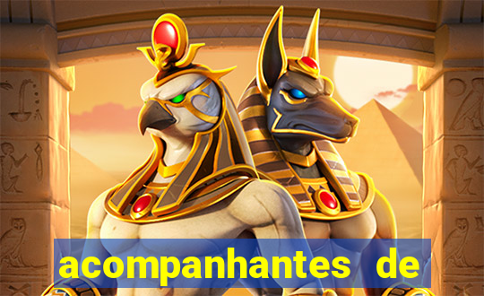 acompanhantes de luxo sc