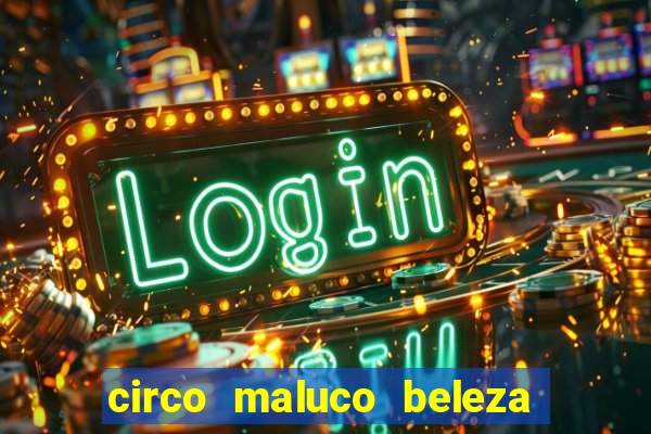 circo maluco beleza recife circo maluco